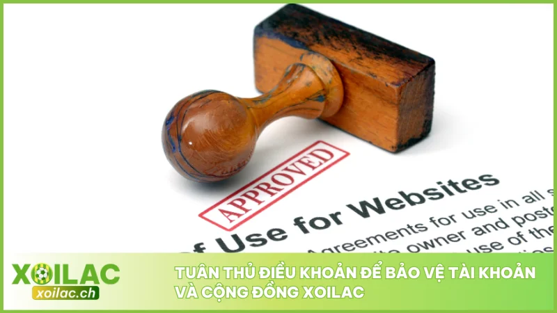 Điều Khoản Sử Dụng Xoilac - Quy Định Người Dùng Cần Biết 1 Tuân thủ điều khoản để bảo vệ tài khoản và cộng đồng Xoilac
