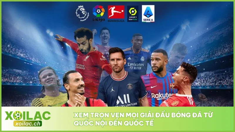 Xem trọn vẹn mọi giải đấu bóng đá từ quốc nội đến quốc tế
