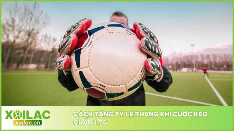 Mẹo Cược Kèo Chấp 1.75 - Tránh Bẫy & Nhân Đôi Lợi Nhuận 4 Hãy sử dụng dữ liệu thống kê từ các nguồn uy tín như Xoilac