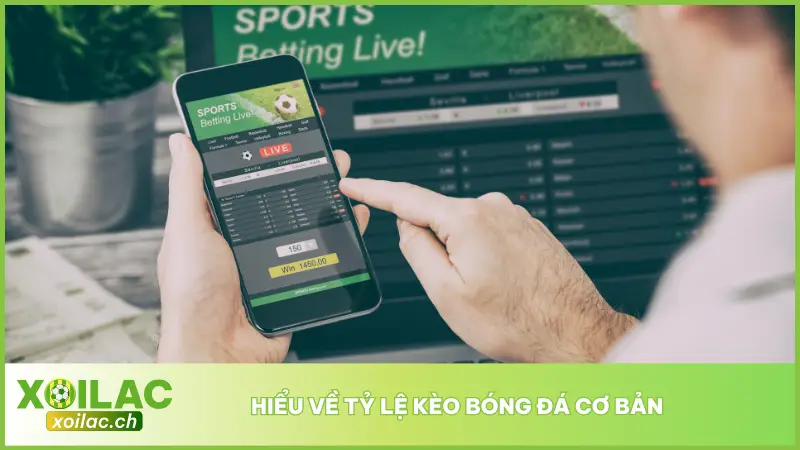 Tỷ lệ kèo bóng đá là con số do nhà cái đưa ra nhằm phản ánh mức độ chênh lệch