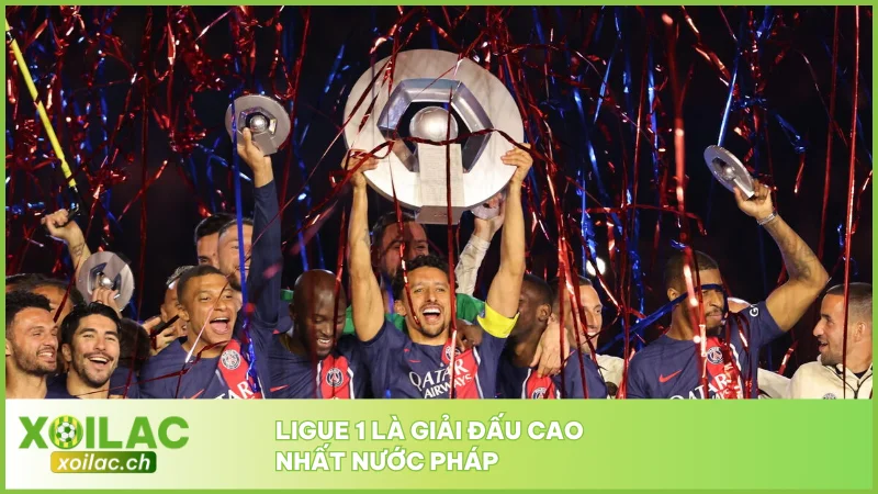 Ligue 1 là giải đấu cao nhất nước Pháp