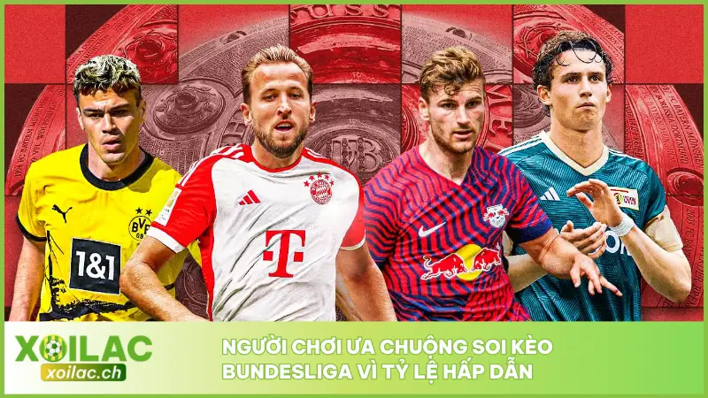 Người chơi ưa chuộng soi kèo Bundesliga vì tỷ lệ hấp dẫn 