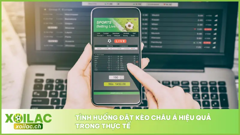 Người chơi cần đọc kỹ Kèo châu Á để đưa ra lựa chọn chính xác nhất