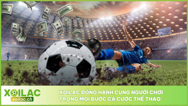 Xoilac đồng hành cùng người chơi trong mọi bước cá cược thể thao
